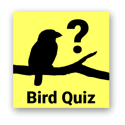 Bird Quiz